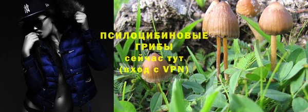 ALPHA-PVP Богданович