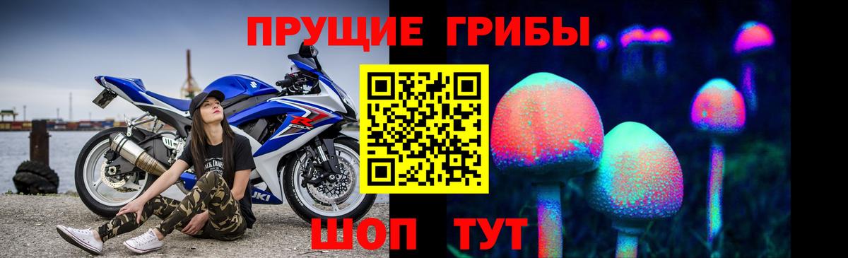 Галлюциногенные грибы GOLDEN TEACHER  Верхняя Пышма 