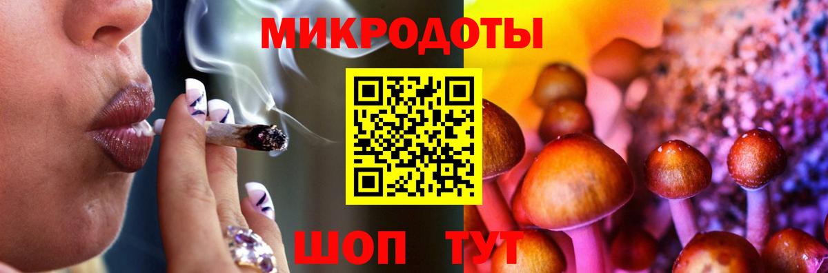Псилоцибиновые грибы GOLDEN TEACHER Верхняя Пышма