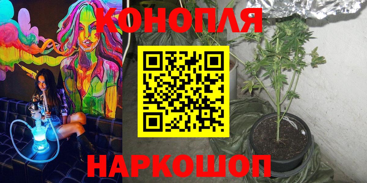 Каннабис семена Верхняя Пышма